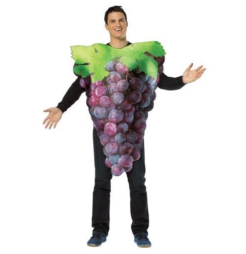 disfraz-de-racimo-de-uvas-moradas