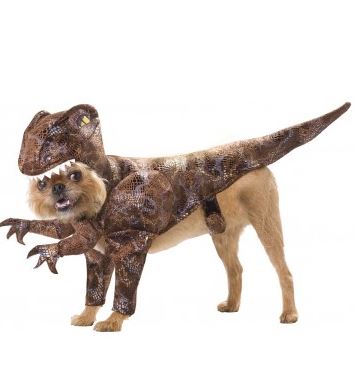 disfraz-dinosaurio-perro