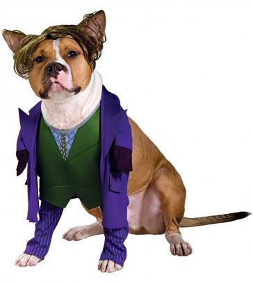 disfraz-joker-perro