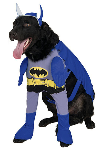 disfraz batman perro