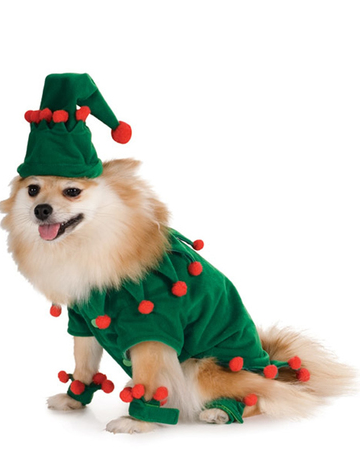 disfraz elfo perro