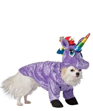 disfraz unicorno perro