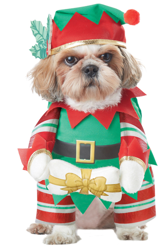 disfraz-elfo-navideno-perro