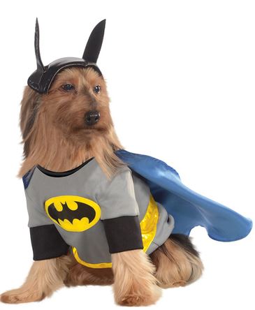 disfraz batman perro