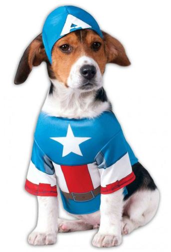 disfraz capitan america perro