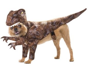 disfraz dinosaurio perro