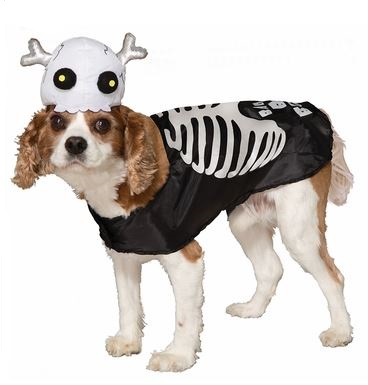 disfraz esqueleto perro
