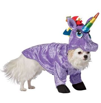 disfraz unicornio perro