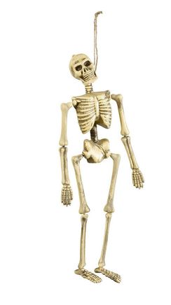 esqueleto colgante halloween